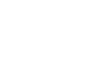 shape_1_4 2 1
